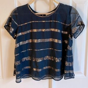 Striped sequins embroidered blouse